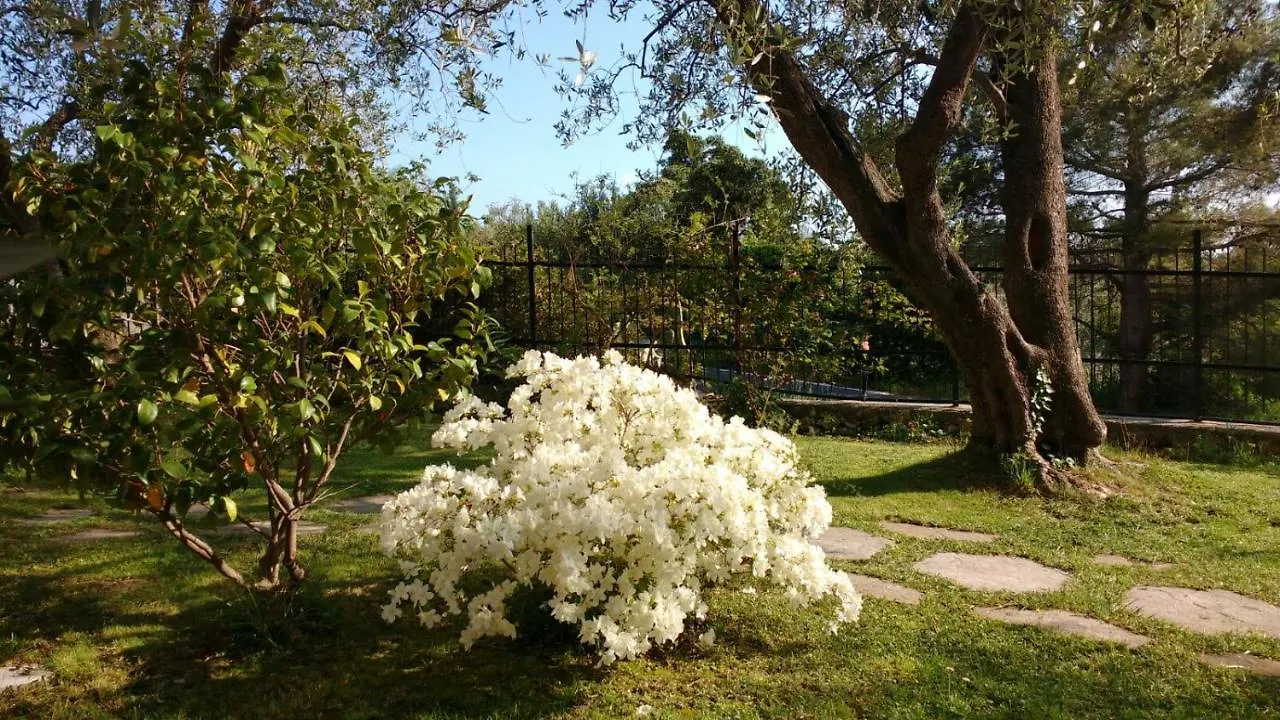 La Vie Est Belle Bed and Breakfast Finale Ligure