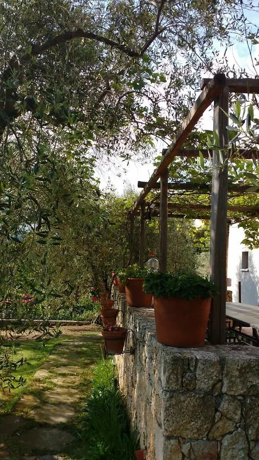 La Vie Est Belle Bed and Breakfast Finale Ligure
